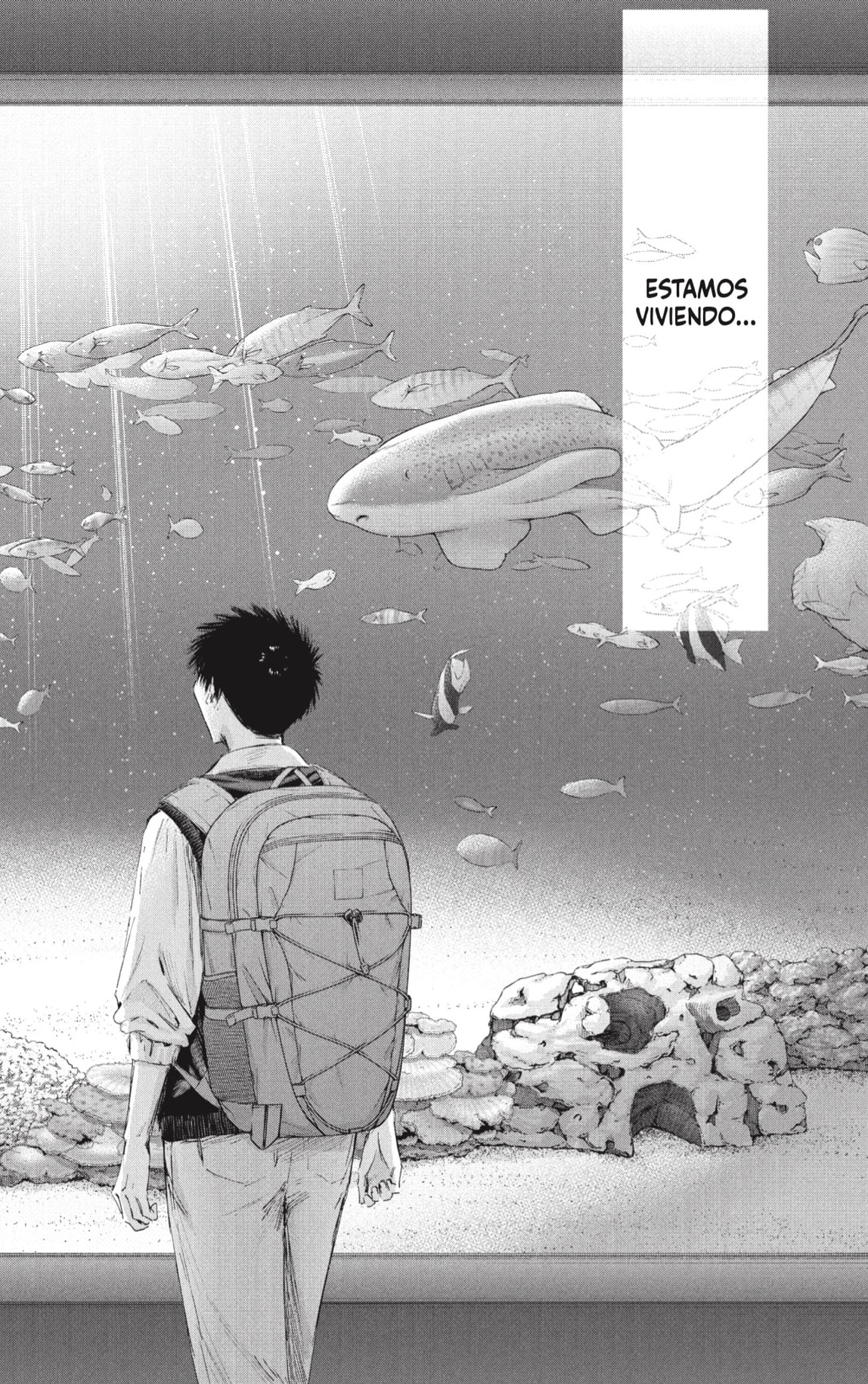 Ao no Hako Capitulo 235 página 12