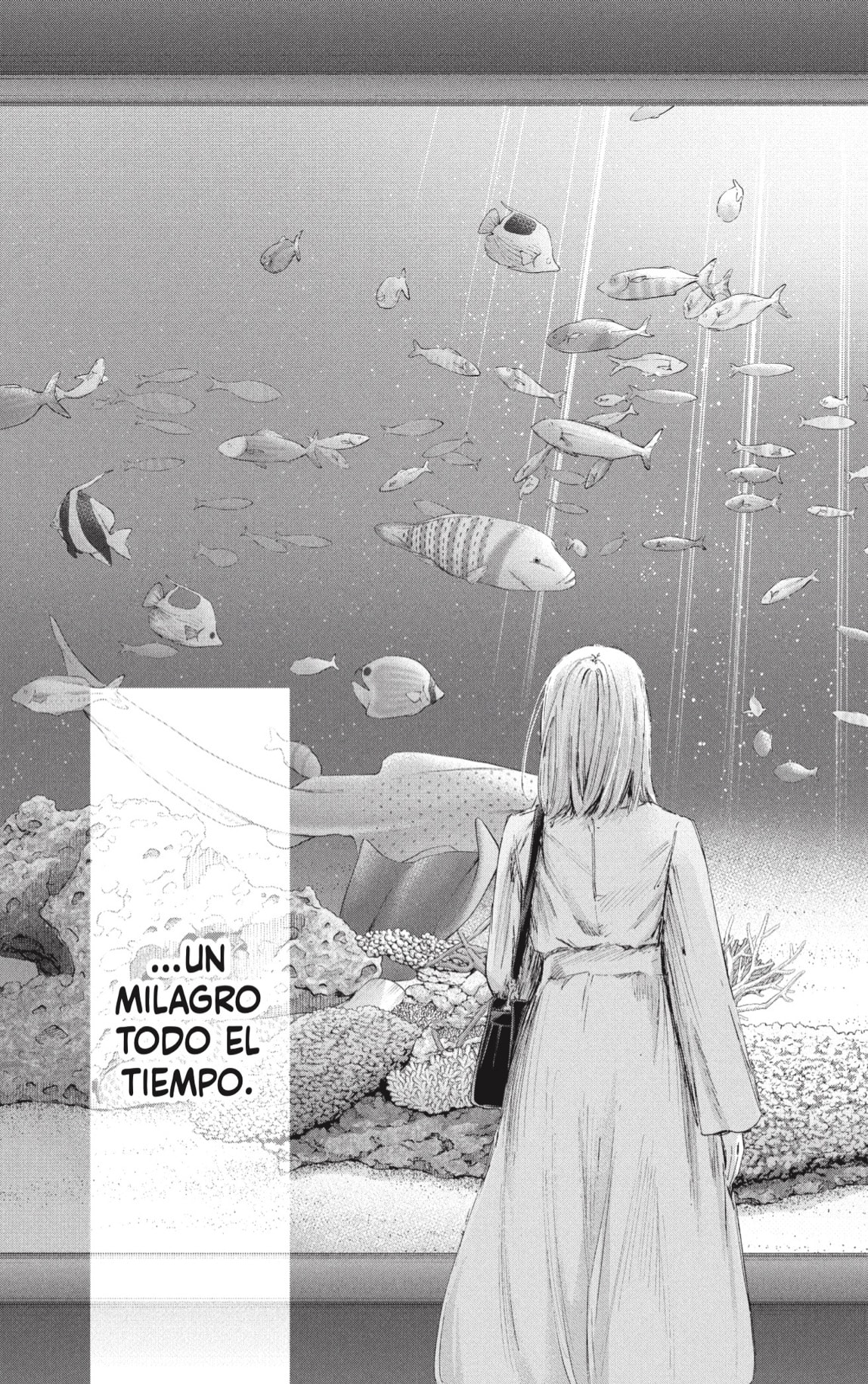 Ao no Hako Capitulo 235 página 13