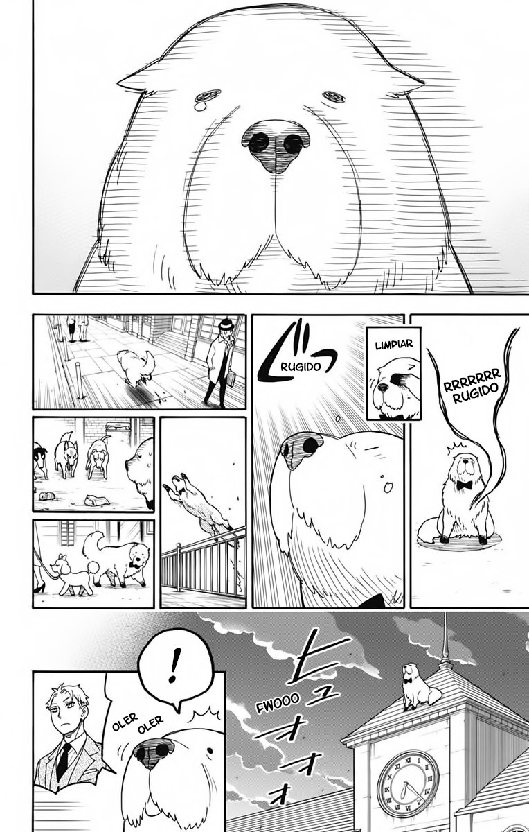 SPY×FAMILY Capitulo 40: Misión: 40 página 14