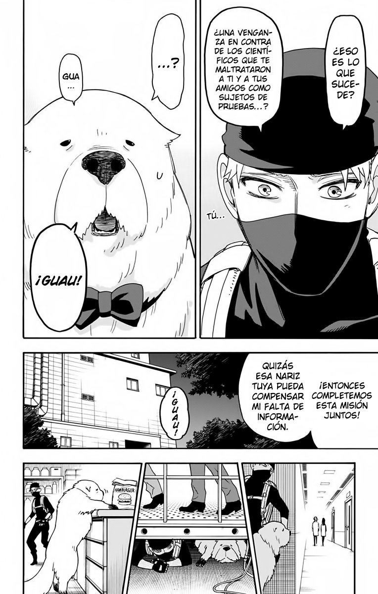 SPY×FAMILY Capitulo 40: Misión: 40 página 18