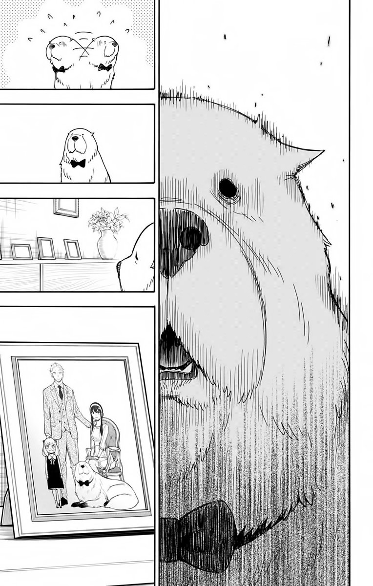 SPY×FAMILY Capitulo 40: Misión: 40 página 5