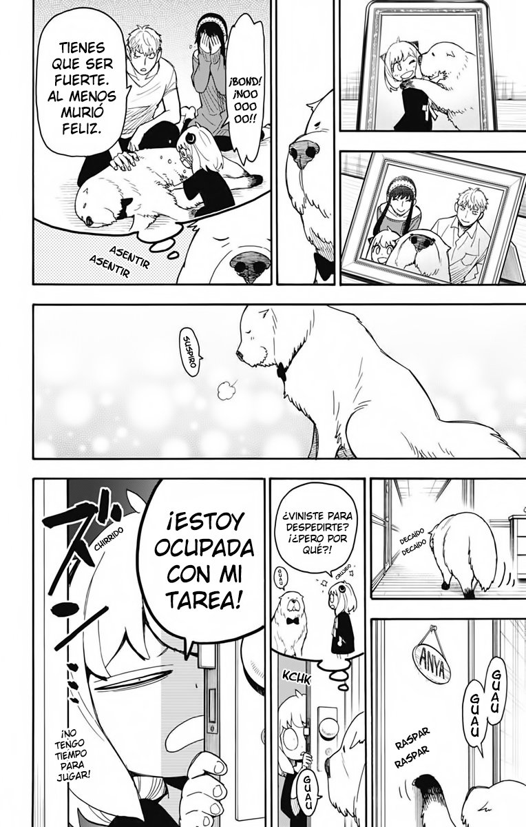 SPY×FAMILY Capitulo 40: Misión: 40 página 6