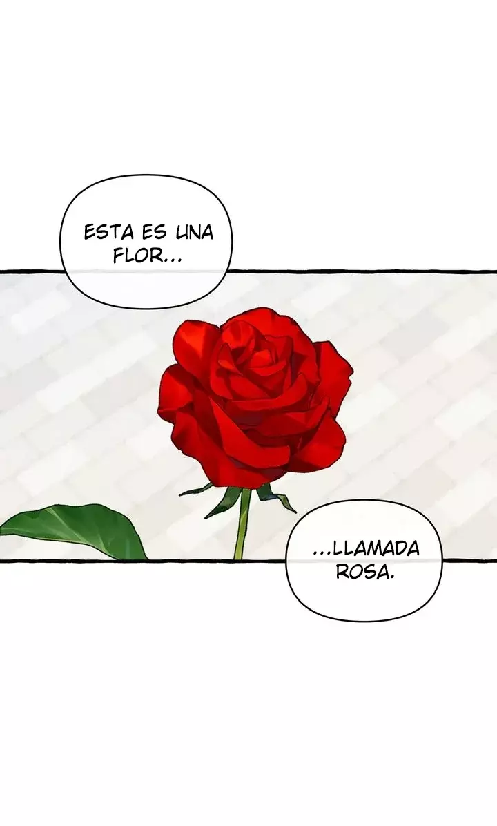 Érase una Vez Capitulo 28 página 37