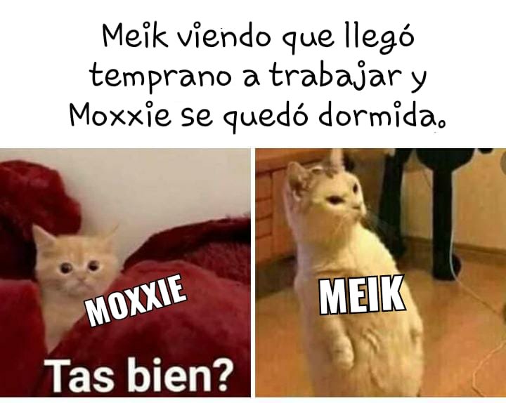 Cuidado Con La Villana Capitulo 84 página 4