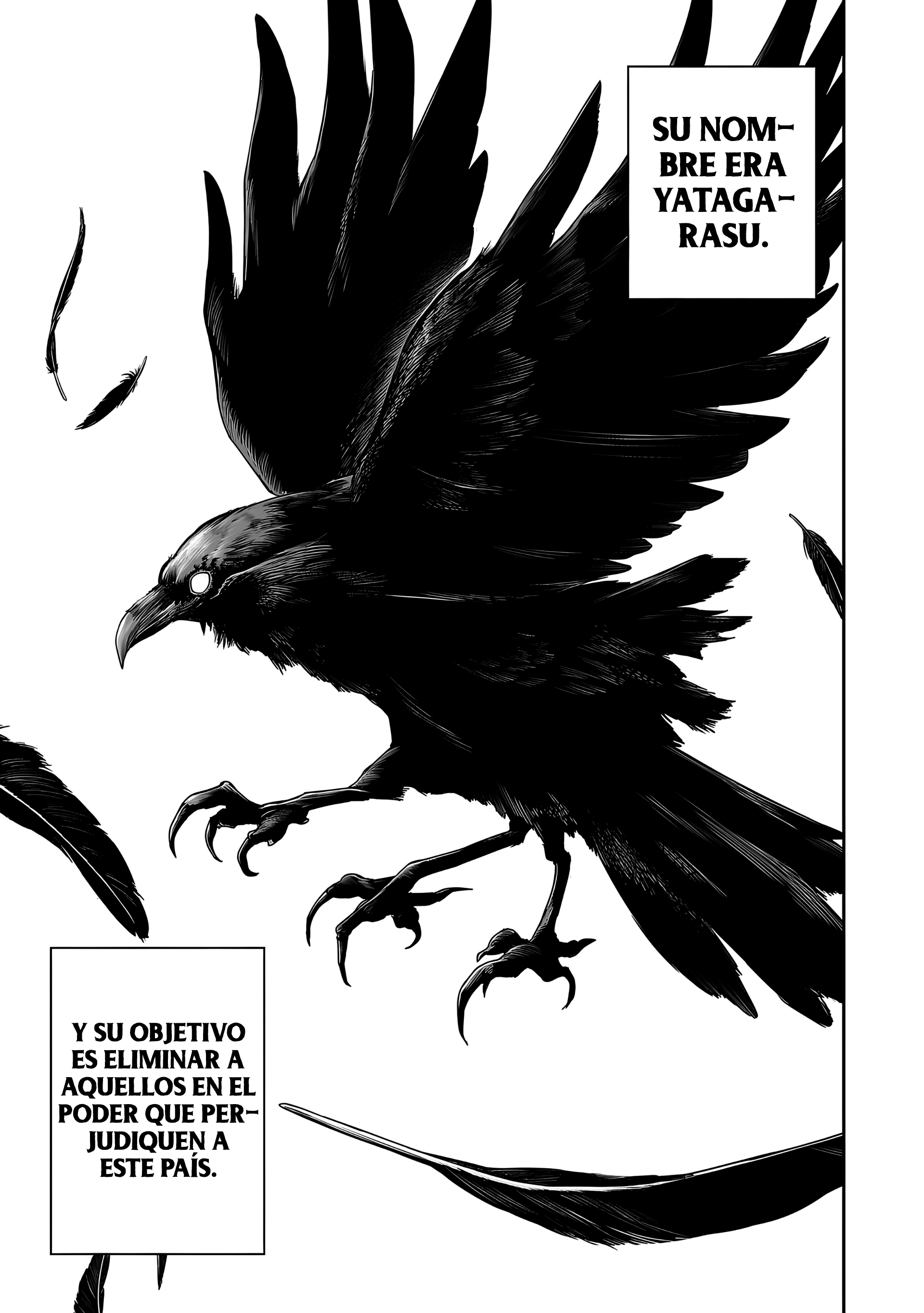 TSUYOSHI Capitulo 237: Yatagarasu página 9