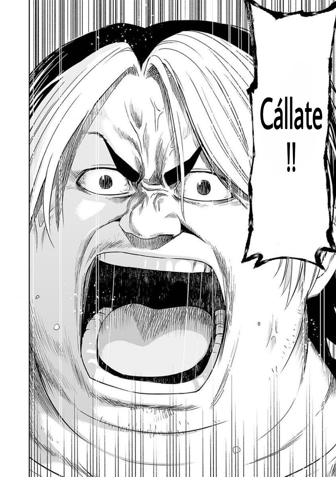 TSUYOSHI Capitulo 4: Esfuerzos página 15