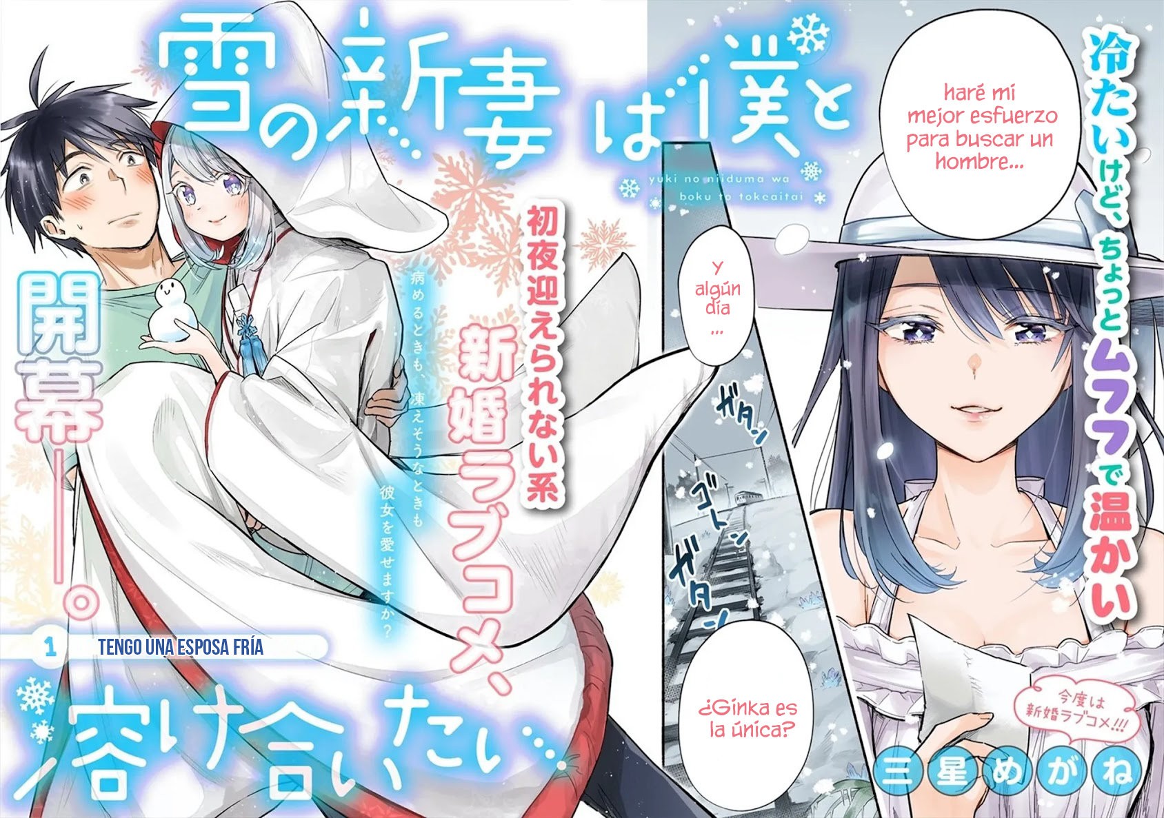 Yuki no Niiduma wa Boku to Tokeaitai Capitulo 1: Tengo una esposa fría página 3