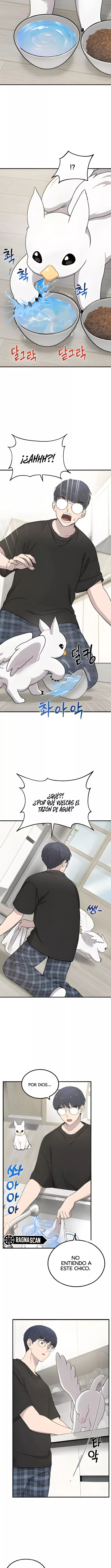 ¡Hola, Pequeño Grifo Peludo! Capitulo 2 página 12