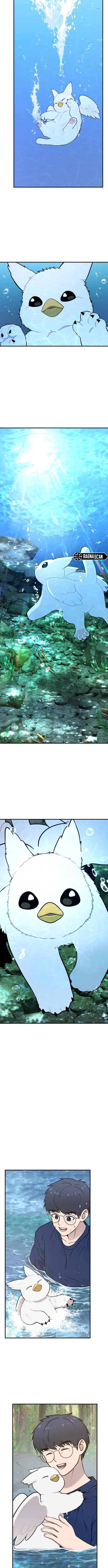 ¡Hola, Pequeño Grifo Peludo! Capitulo 25 página 9