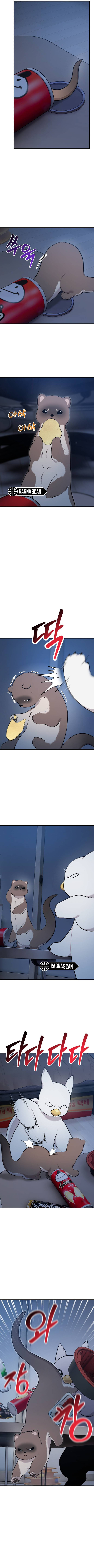 ¡Hola, Pequeño Grifo Peludo! Capitulo 30 página 8