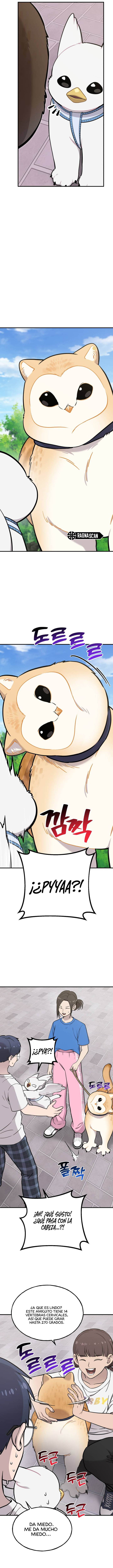 ¡Hola, Pequeño Grifo Peludo! Capitulo 35 página 7