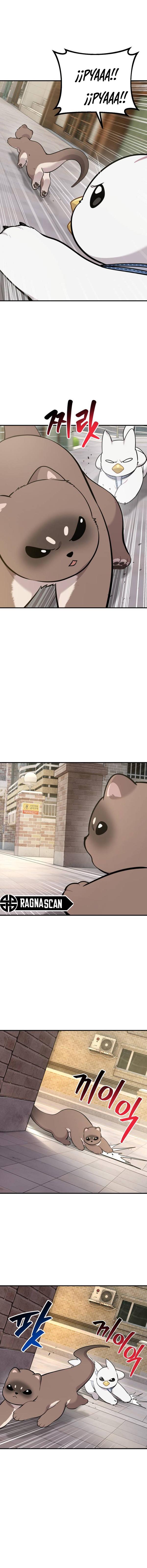 ¡Hola, Pequeño Grifo Peludo! Capitulo 36 página 7