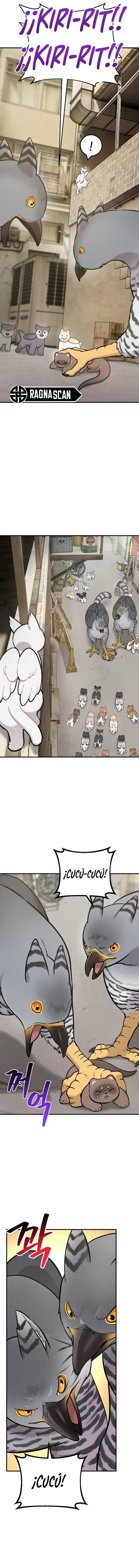 ¡Hola, Pequeño Grifo Peludo! Capitulo 39 página 11