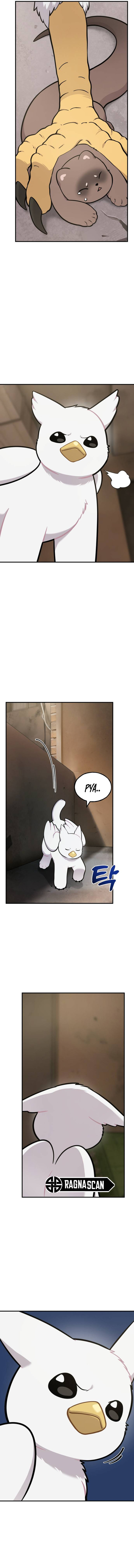 ¡Hola, Pequeño Grifo Peludo! Capitulo 39 página 12