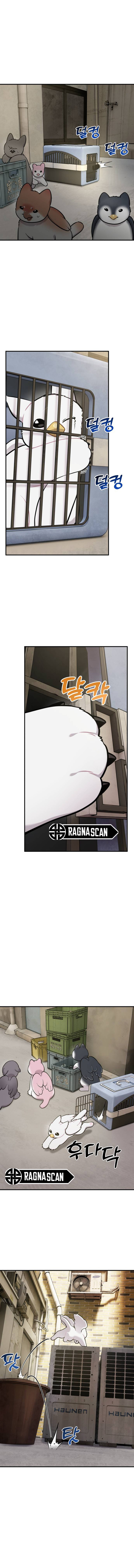 ¡Hola, Pequeño Grifo Peludo! Capitulo 39 página 9