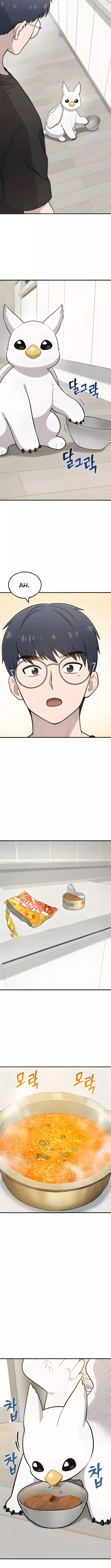 ¡Hola, Pequeño Grifo Peludo! Capitulo 4 página 13