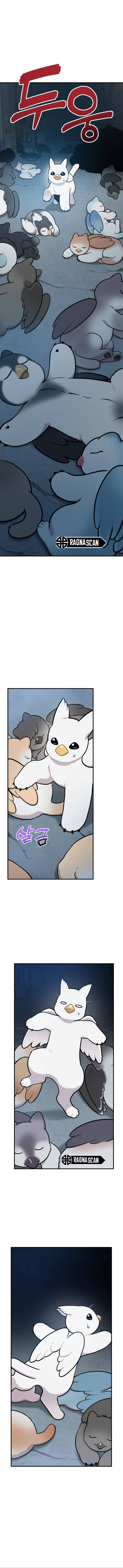 ¡Hola, Pequeño Grifo Peludo! Capitulo 40 página 11