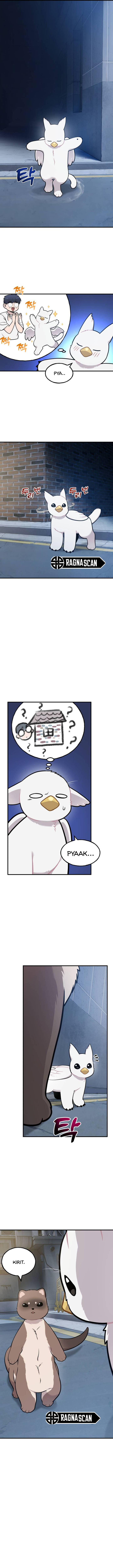 ¡Hola, Pequeño Grifo Peludo! Capitulo 40 página 12