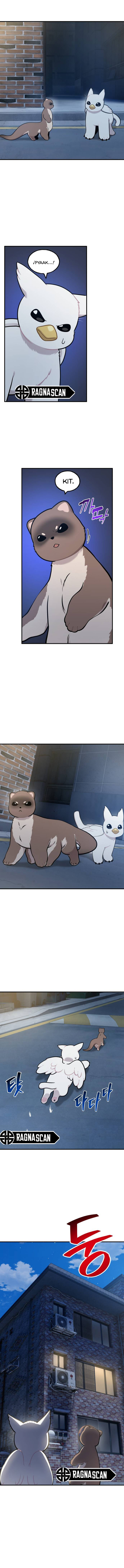 ¡Hola, Pequeño Grifo Peludo! Capitulo 40 página 13