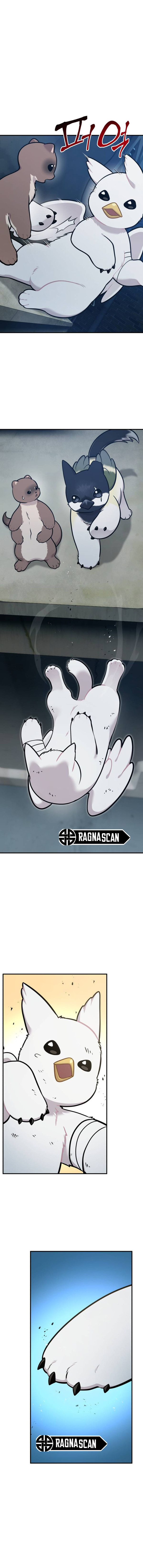 ¡Hola, Pequeño Grifo Peludo! Capitulo 43 página 10