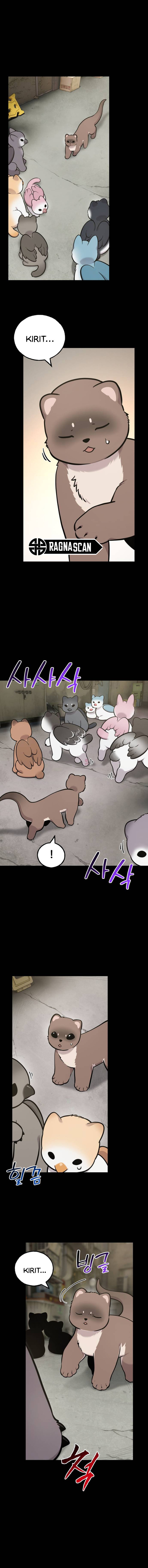 ¡Hola, Pequeño Grifo Peludo! Capitulo 43 página 2