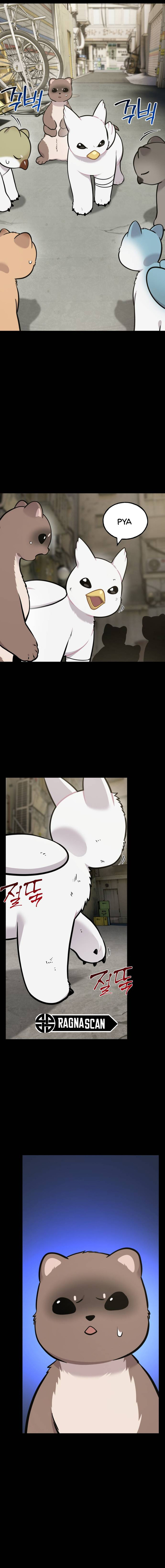 ¡Hola, Pequeño Grifo Peludo! Capitulo 43 página 4