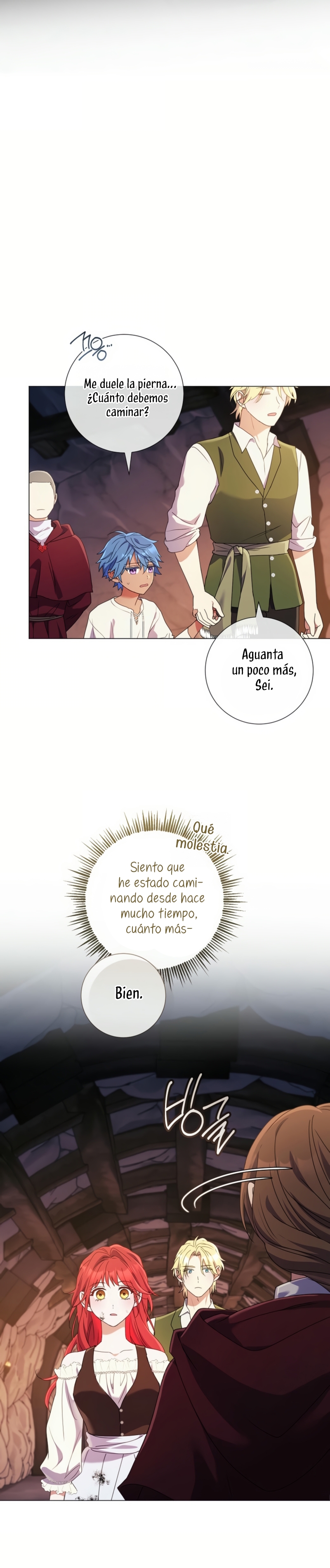 Todavía No Estamos Casados Su Majestad, ¿Qué Tipo De Divorcio Es Este? Capitulo 47 página 5