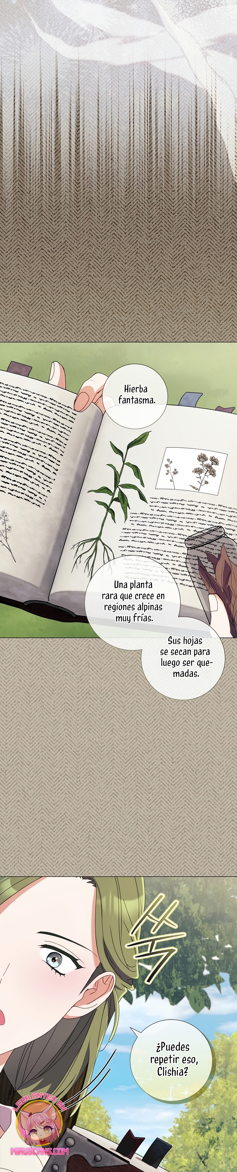 Todavía No Estamos Casados Su Majestad, ¿Qué Tipo De Divorcio Es Este? Capitulo 49 página 17