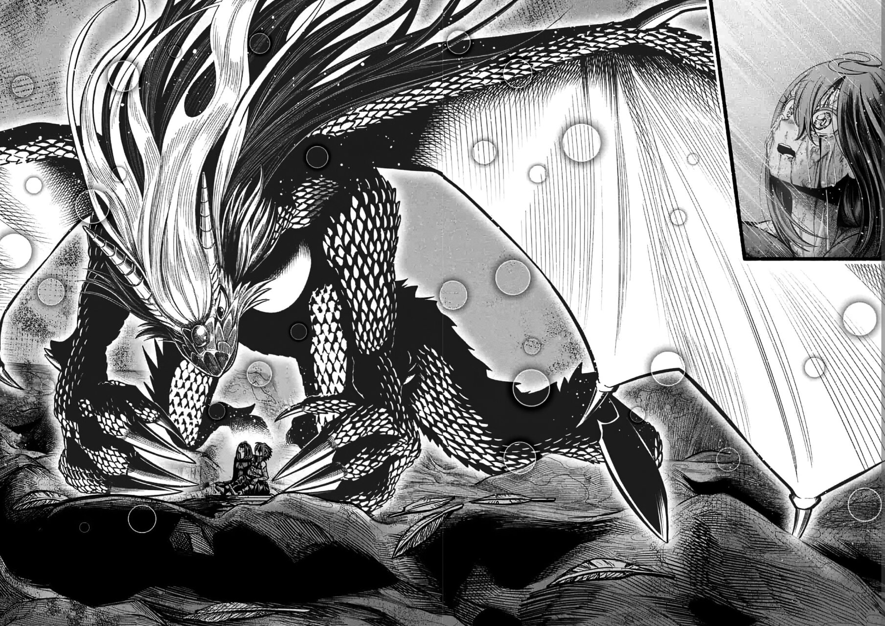 Una historia sobre un Dragón y el Ascenso de un Aventurero ~ Un sanador que fue visto como inútil y fue expulsado de un grupo de rango S, va a revivir al dragón más fuerte en una zona abandon Capitulo 15 página 26