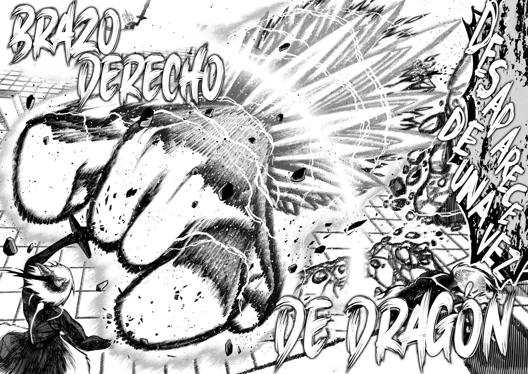 Una historia sobre un Dragón y el Ascenso de un Aventurero ~ Un sanador que fue visto como inútil y fue expulsado de un grupo de rango S, va a revivir al dragón más fuerte en una zona abandon Capitulo 33 página 12