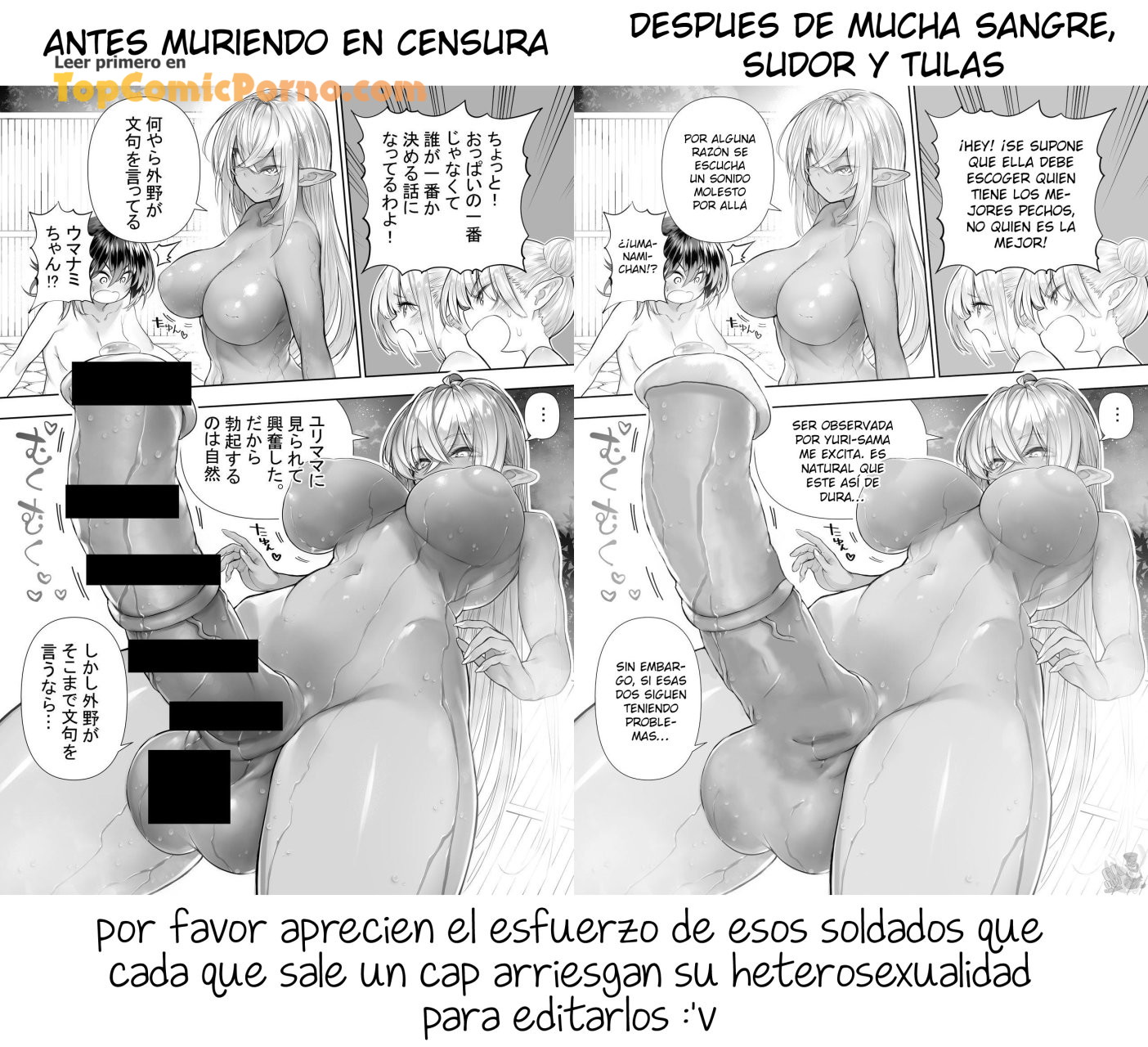 Futanari No Elf Capitulo 22.3 página 7
