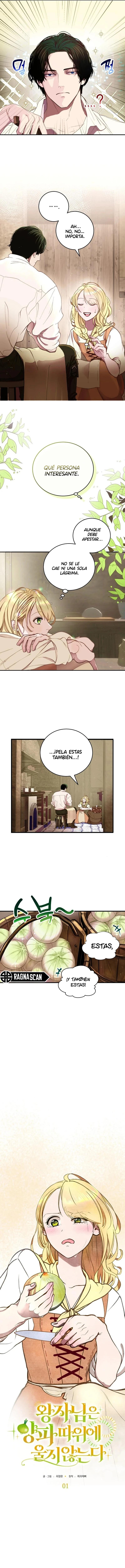 El Príncipe no llora por meras cebollas. Capitulo 1 página 3