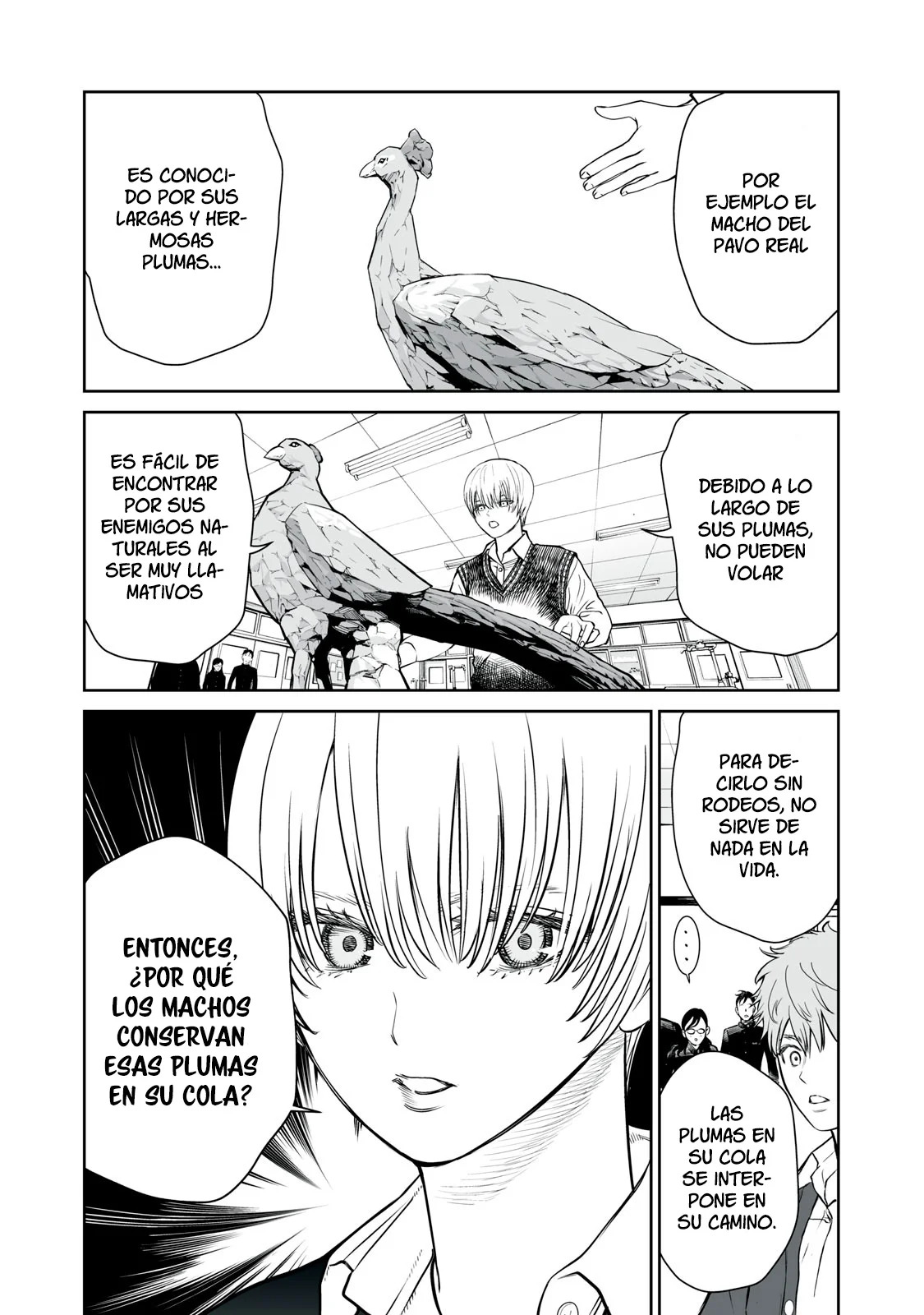 Akumade Kujaku no Hanashi desu Capitulo 1: Selección sexual página 27