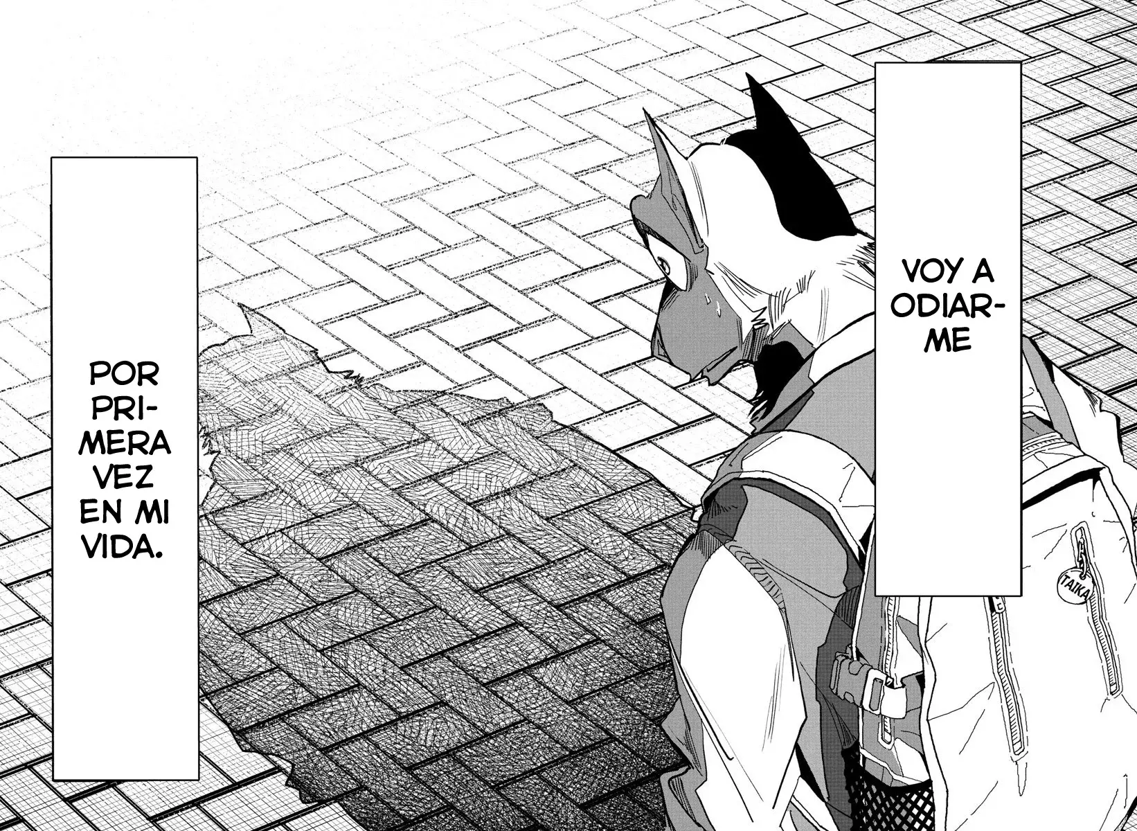 Taika No Risei Capitulo 26 página 17