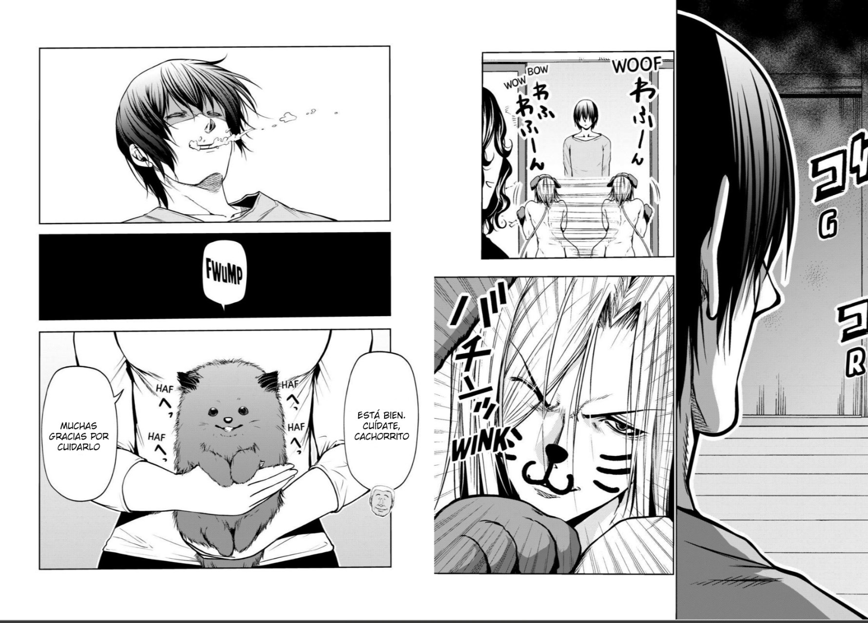Grand Blue Capitulo 61.5: cachorro página 27