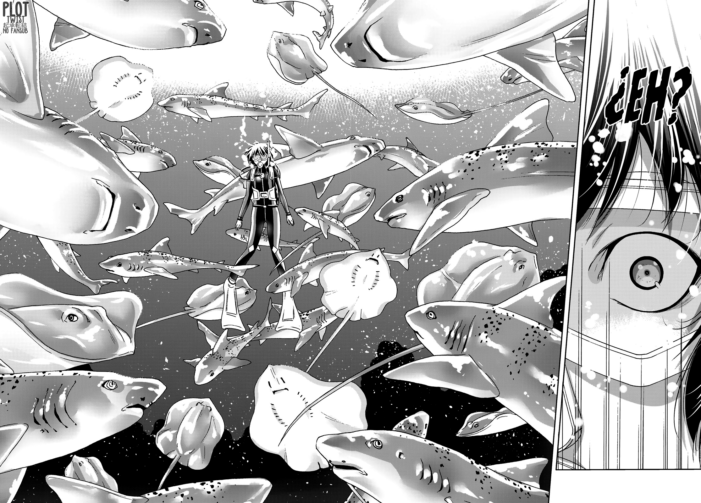 Grand Blue Capitulo 81: tumulto de tiburones página 24