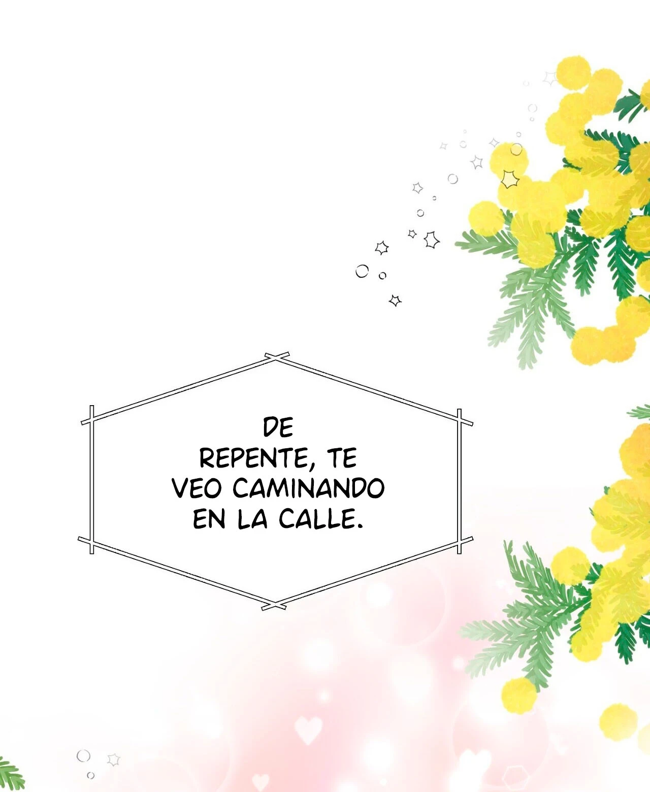 Fuí Designado como un Ídolo Capitulo 3 página 53