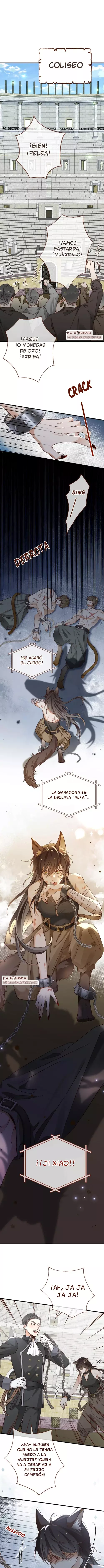 La perfecta heroína quiere tenerme Capitulo 112.1: Juramento del destino de la bestia [PARTE 1] página 2
