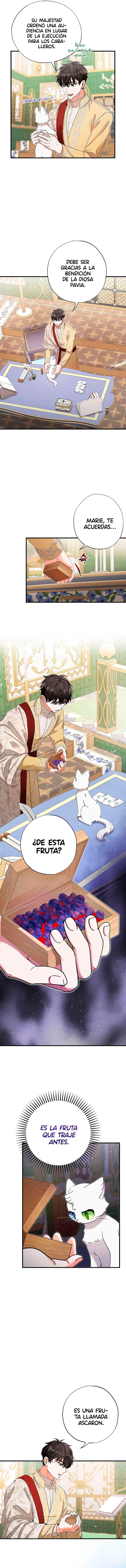 Me convertí en el gato del emperador Capitulo 17 página 7