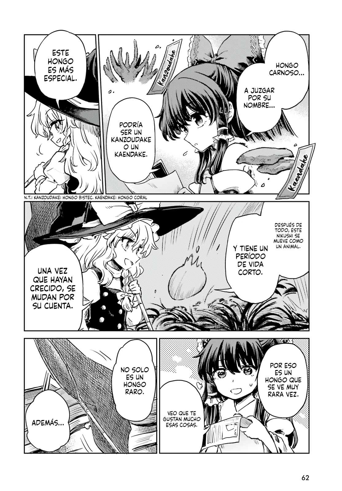 Touhou Suichouka ~ Lotus Eater-tachi no Suisei Capitulo 65 página 14
