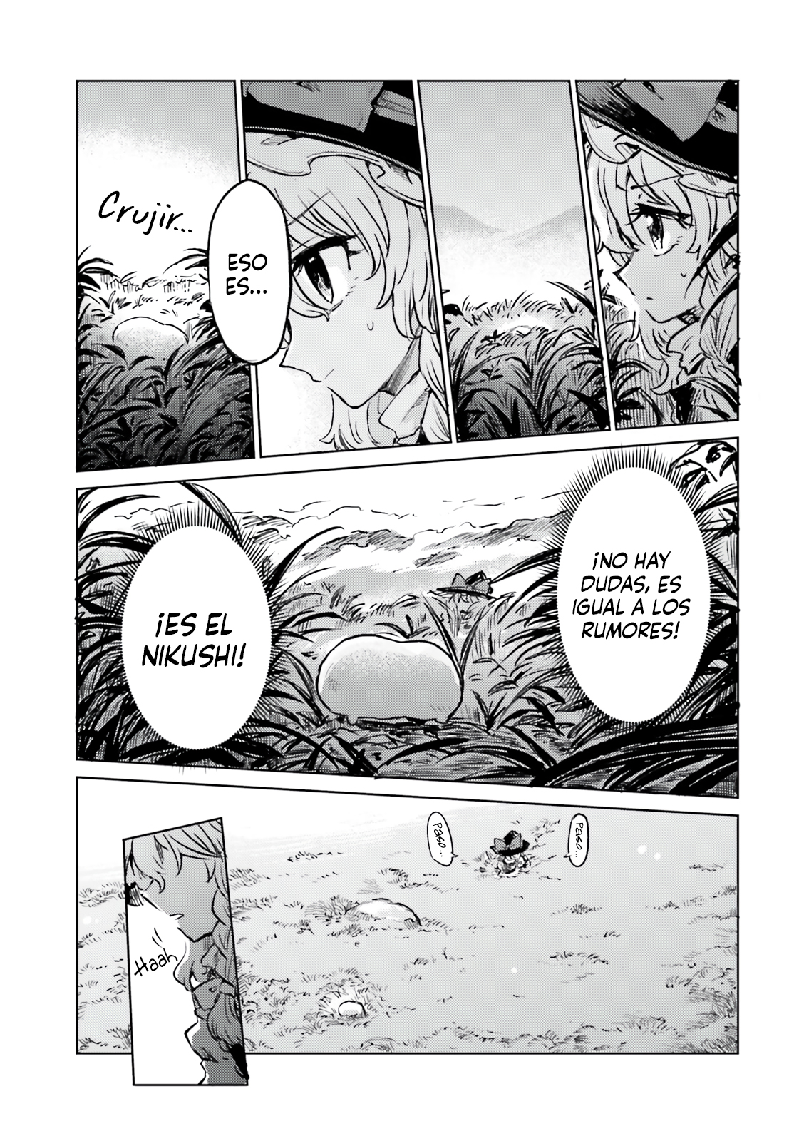 Touhou Suichouka ~ Lotus Eater-tachi no Suisei Capitulo 66 página 11
