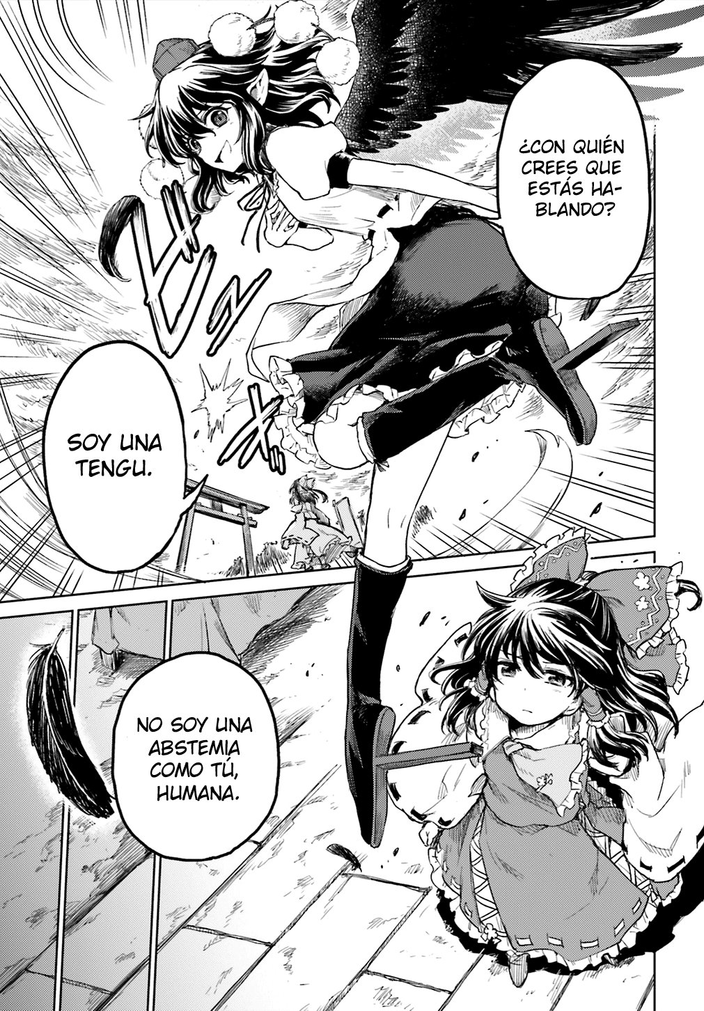 Touhou Suichouka ~ Lotus Eater-tachi no Suisei Capitulo 9: Las botellas tienen bocas y los potes, orejas (parte 2) página 11