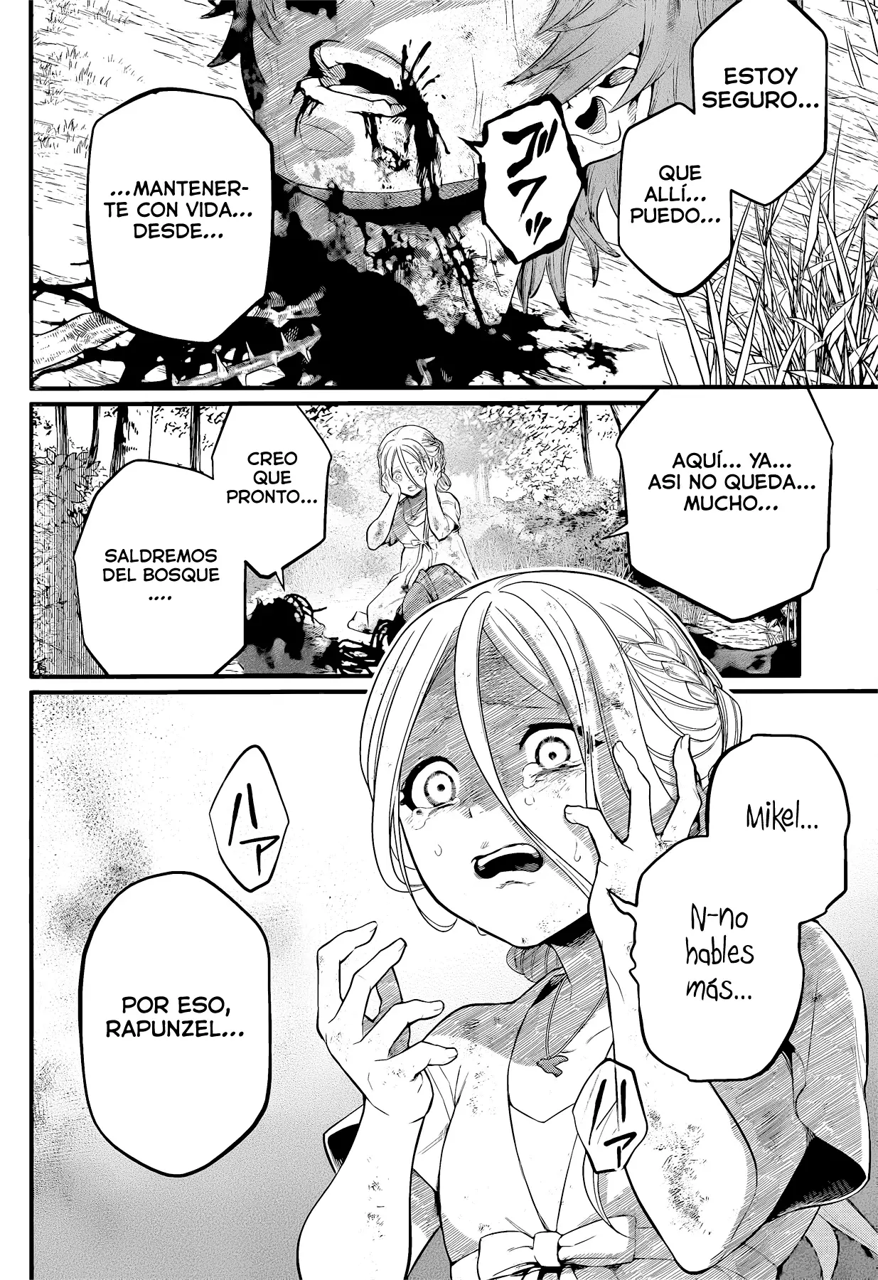 Märchen Crown Capitulo 5: El bosque de niebla página 18