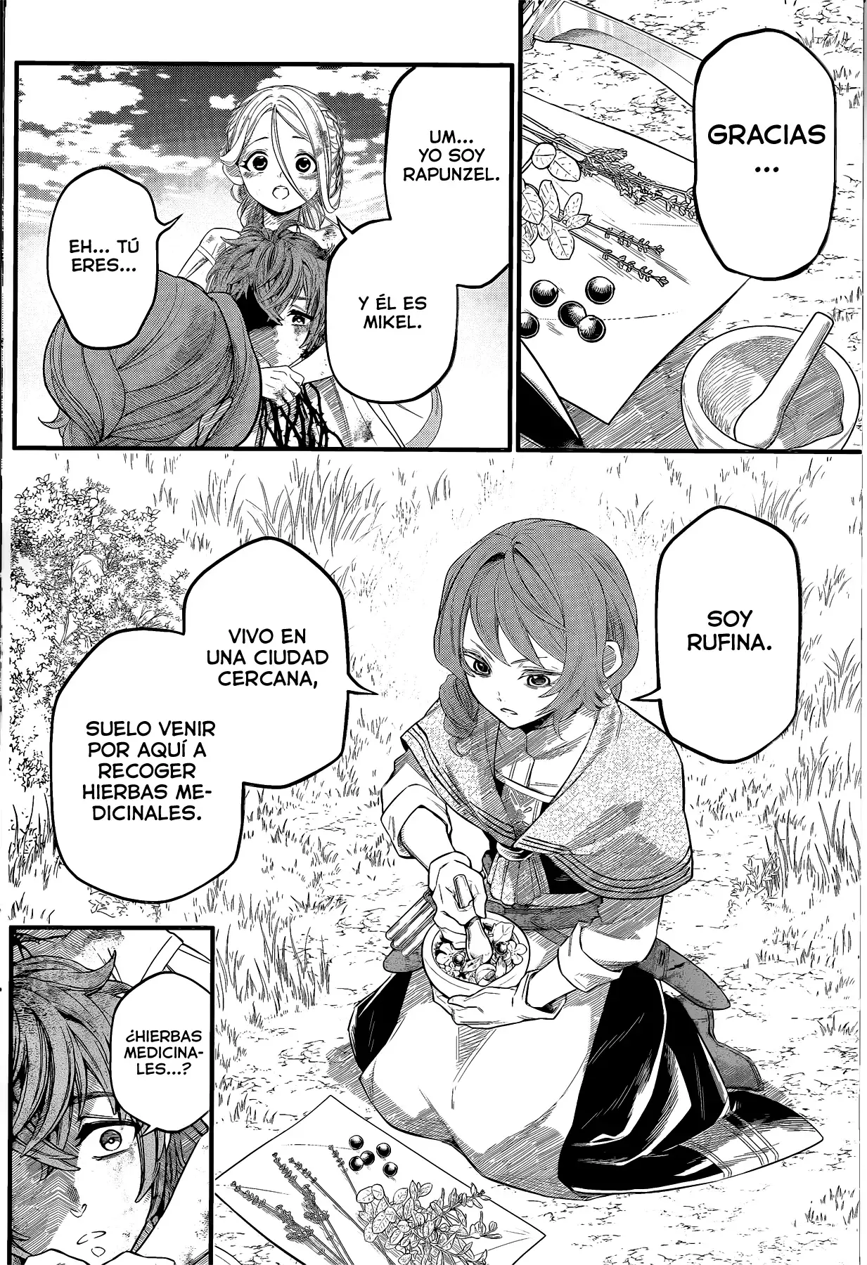 Märchen Crown Capitulo 7: La errante Non. página 12