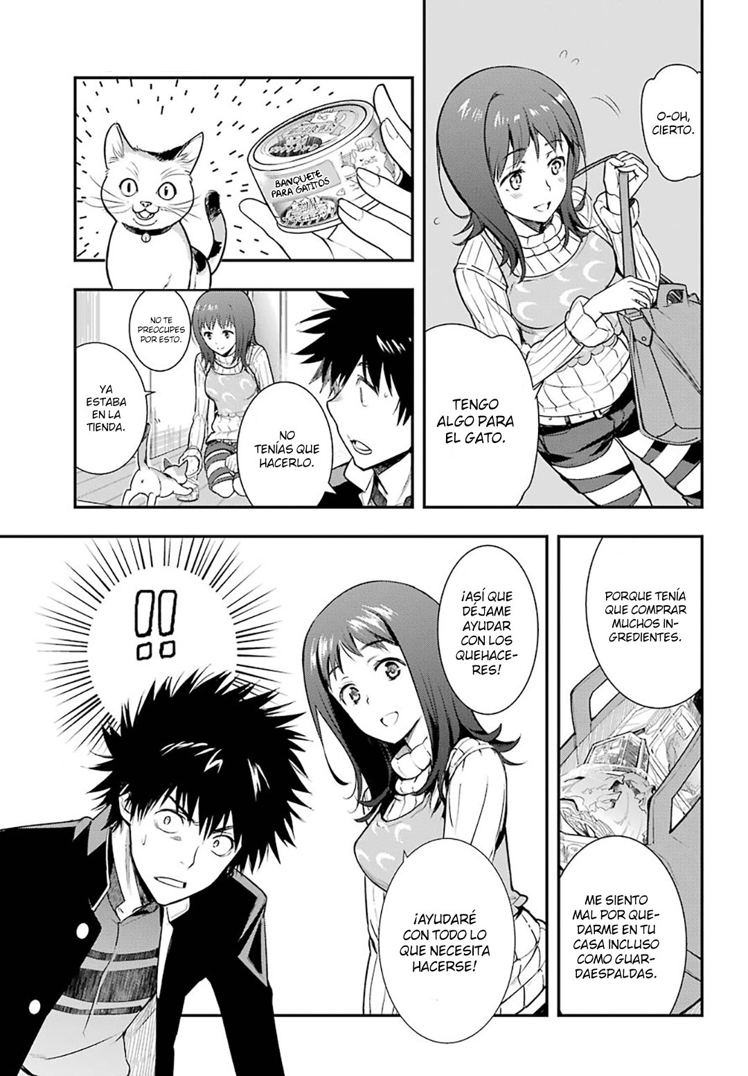 Toaru Majutsu no Index Capitulo 151: La Guardaespaldas Amakusa que Vive en su Casa página 16