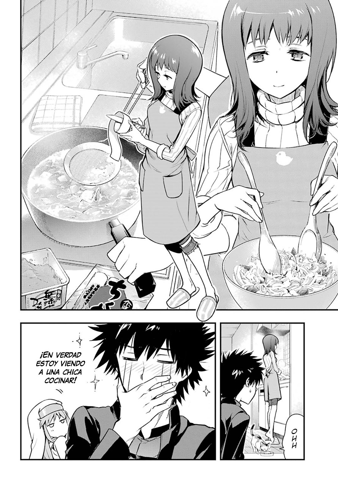 Toaru Majutsu no Index Capitulo 151: La Guardaespaldas Amakusa que Vive en su Casa página 17