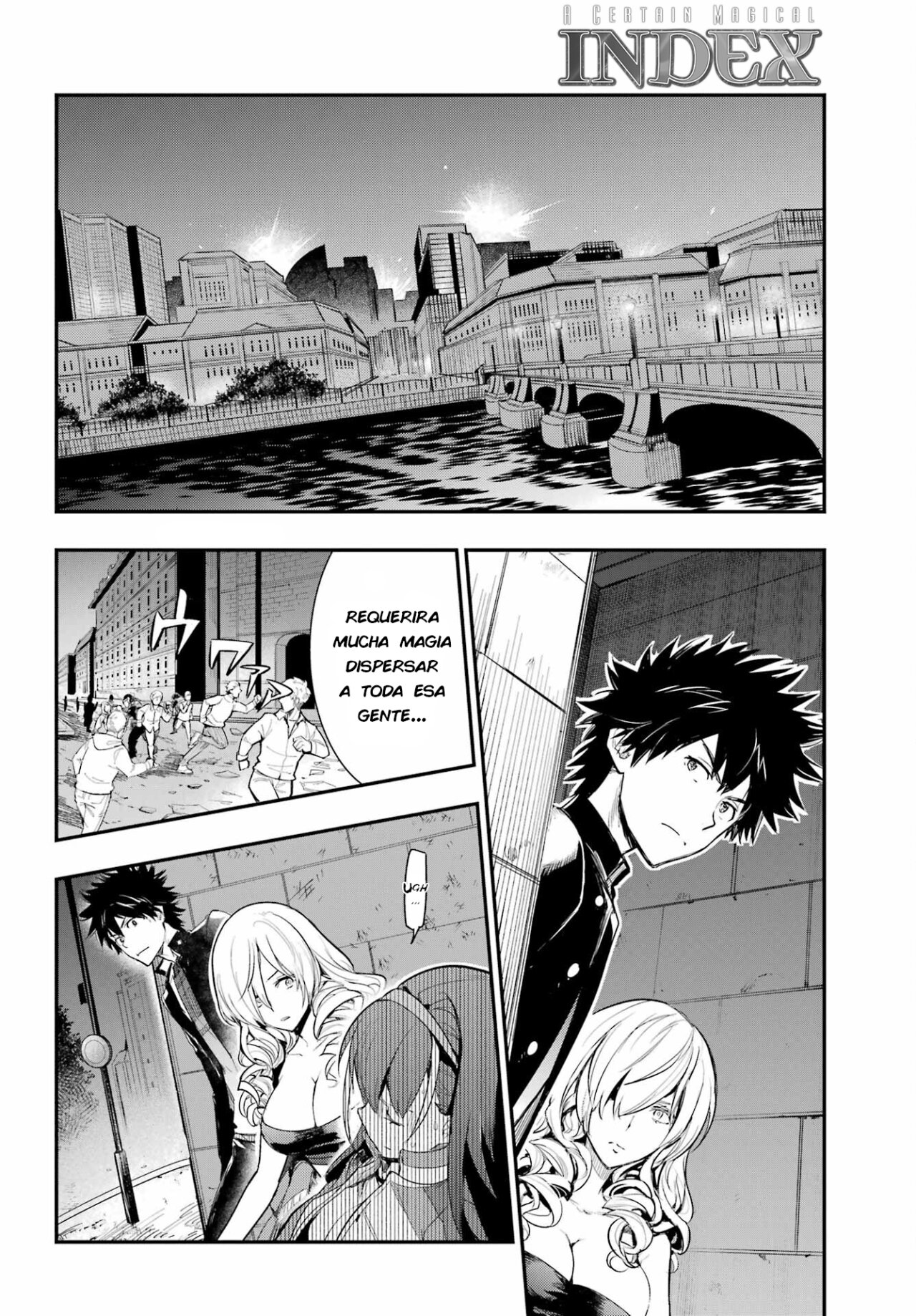 Toaru Majutsu no Index Capitulo 175: La Princesa y El Mercenario 1 página 8