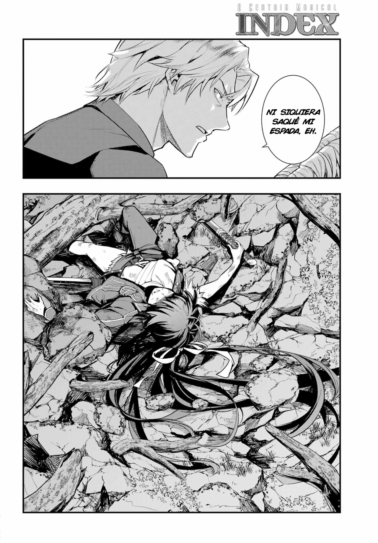 Toaru Majutsu no Index Capitulo 177: La Princesa y El Mercenario 3 página 22