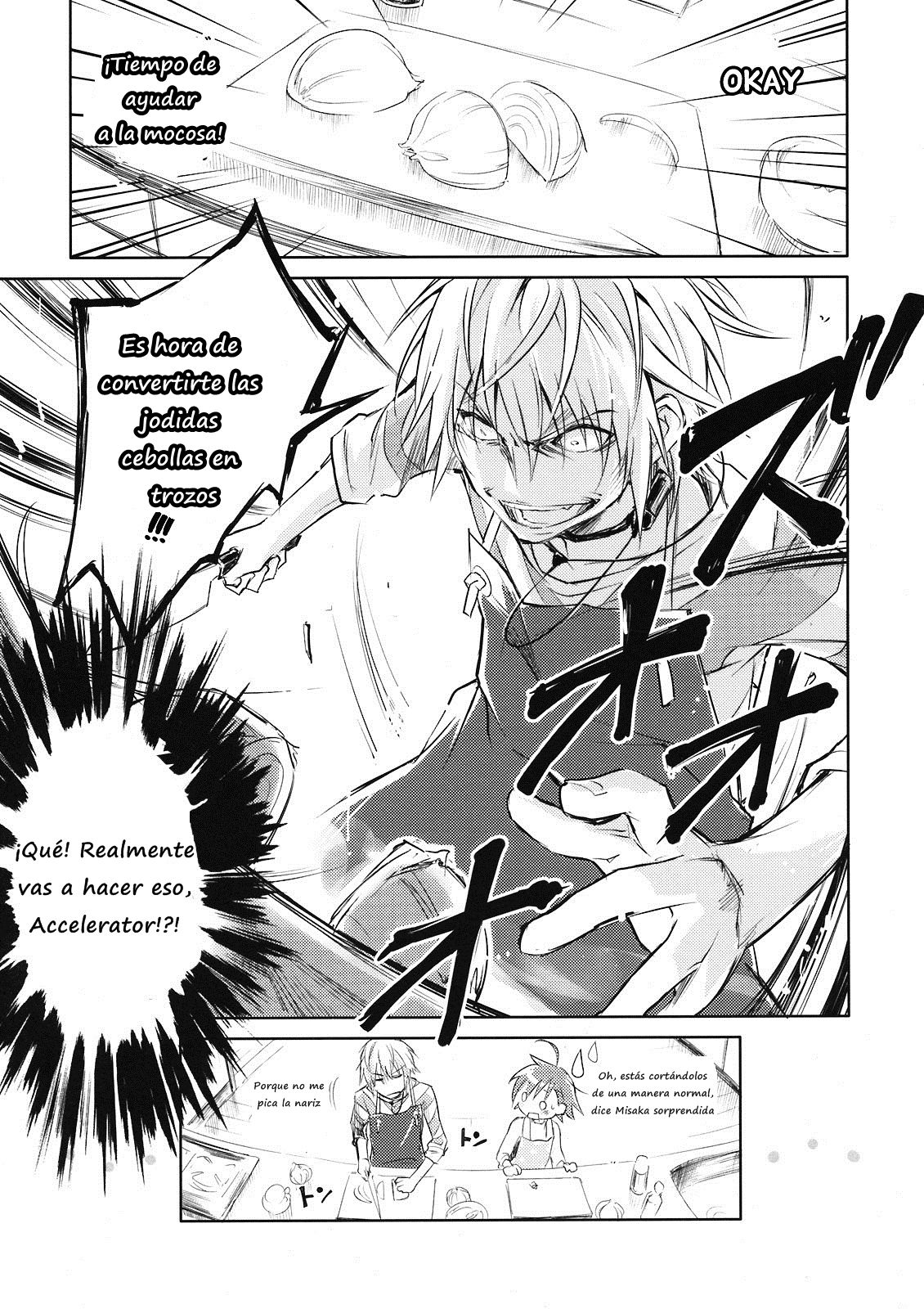 Toaru Majutsu no Index Capitulo 98.5: 100 Man Doru no Best Order! Hay una mejor orden para ti! 1 página 13