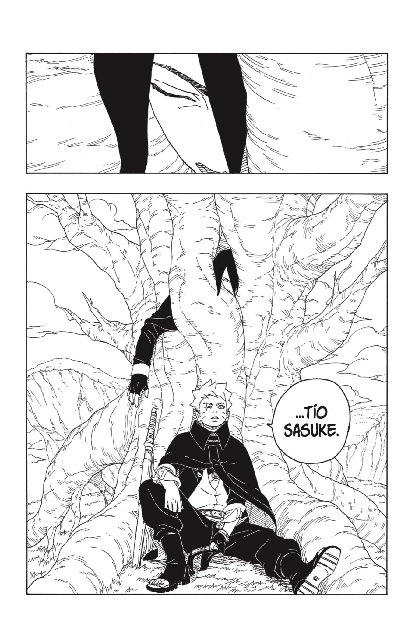 Boruto: Two Blue Vortex Capitulo 4: Despertar página 41